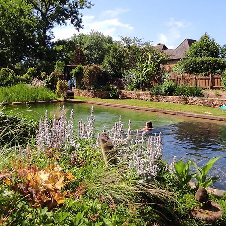 Maison De Charme, Piscine Naturelle Dordogne Perigord Prats-du-Périgord Exteriör bild